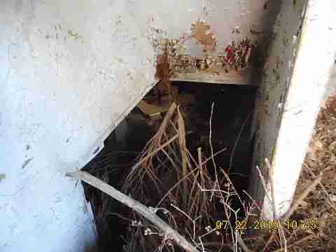 3793 Montgomery (10)_m.jpg